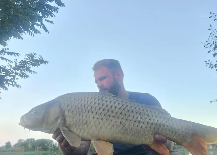 Halzona B&B Balatonszabadi Fürdőtelep